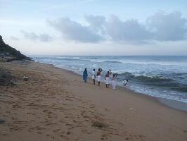 The Travel Planet - Day tours