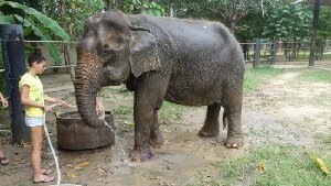 Tha Yang Thailand Tour