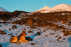 Volcan El Teide