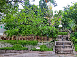 Cox Terrace Fort Canning Cultural Centre Singapore Fort