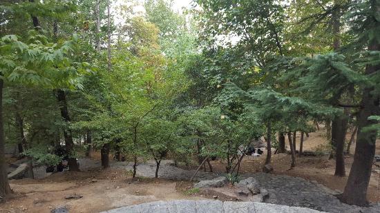 Jamshidieh Stone Garden
