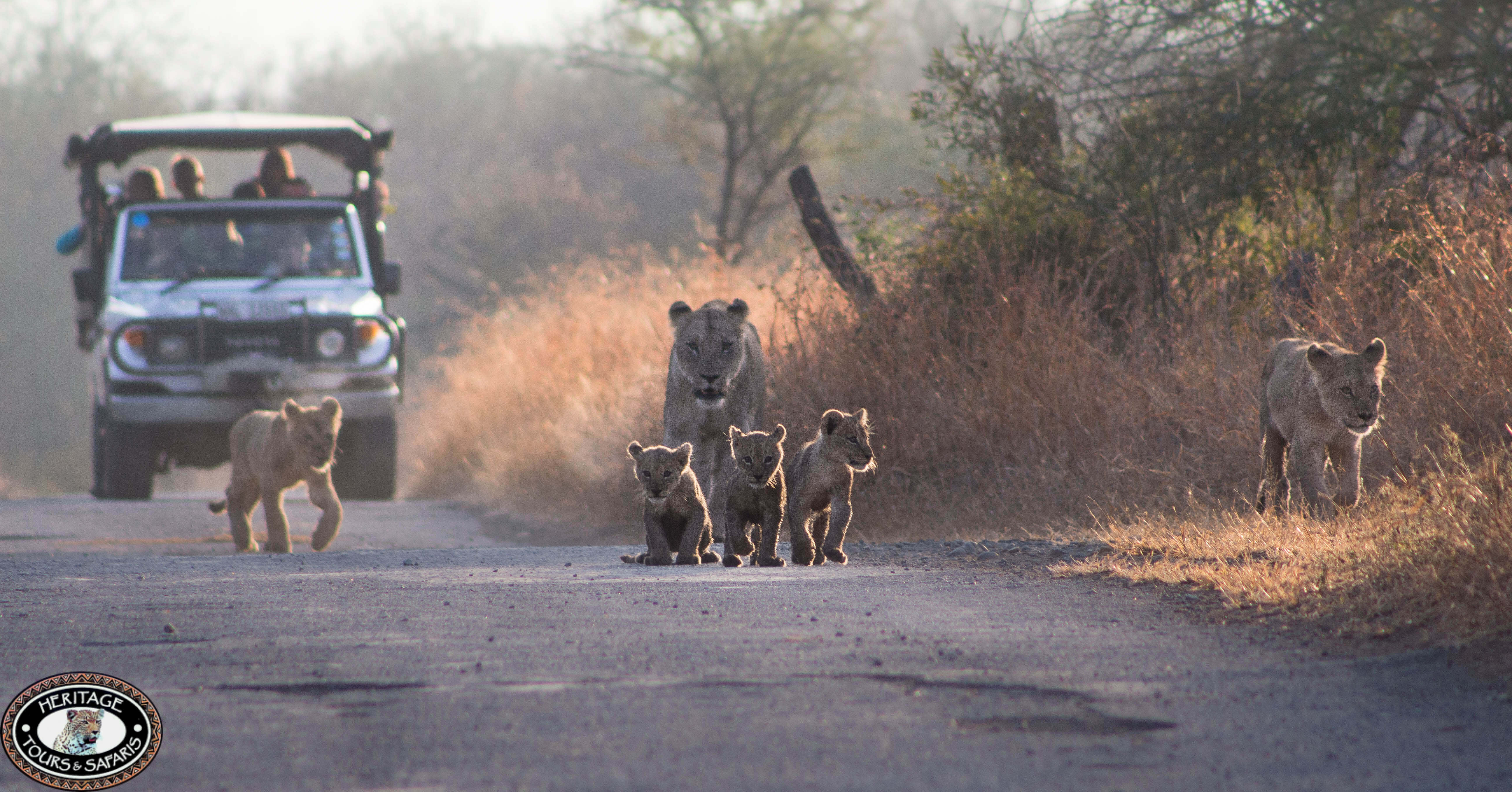 Durban Day Safaris