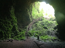 Jomblang Cave