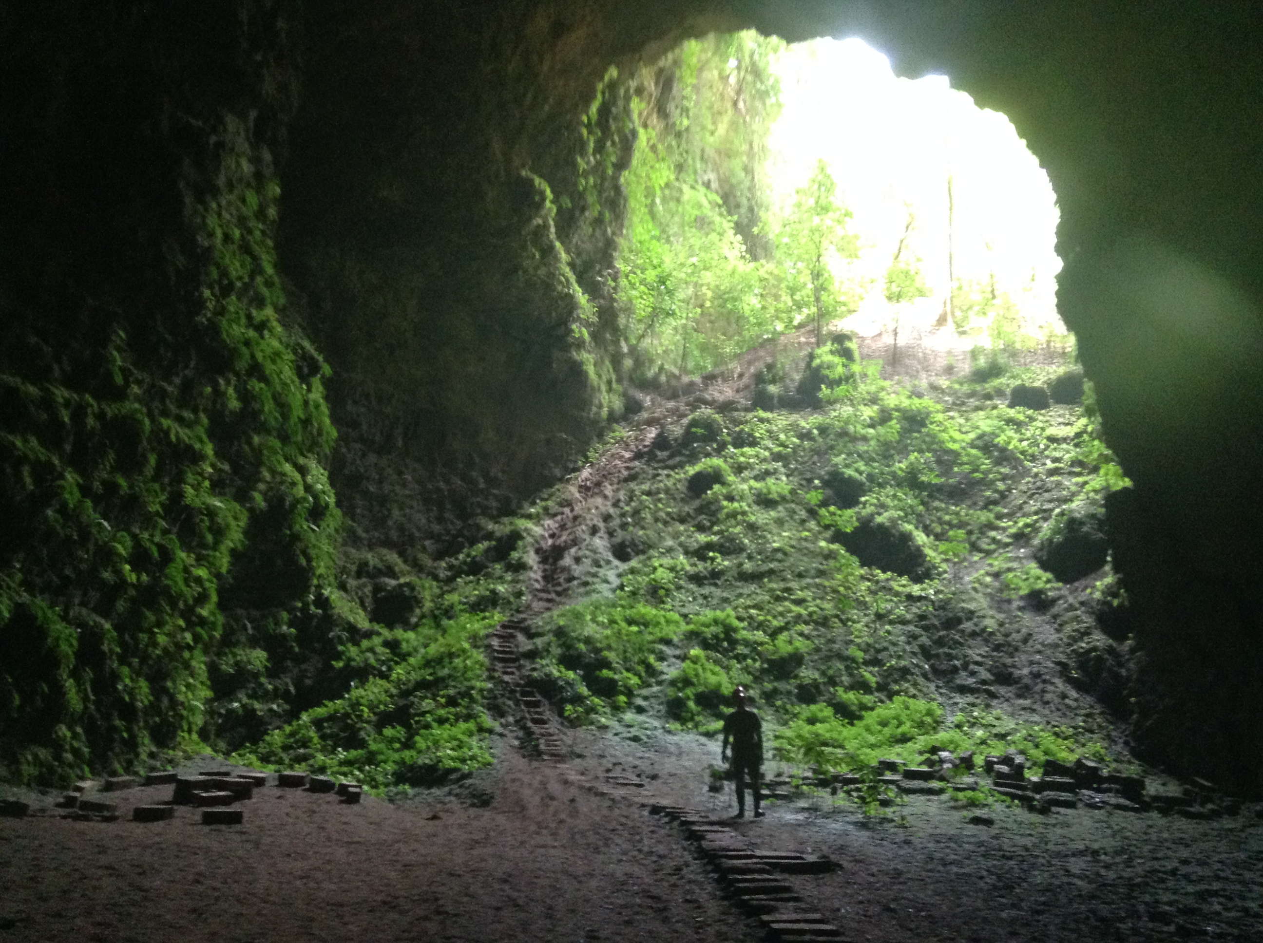 Jomblang Cave