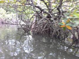 Riau Archipelago Indonesia Tour