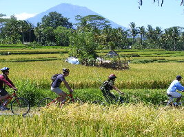 Bali Eco Cycling