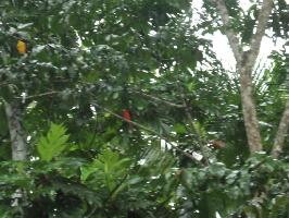 Syltravel Day Tours