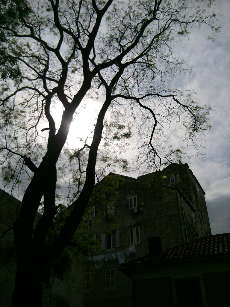 Old Split
