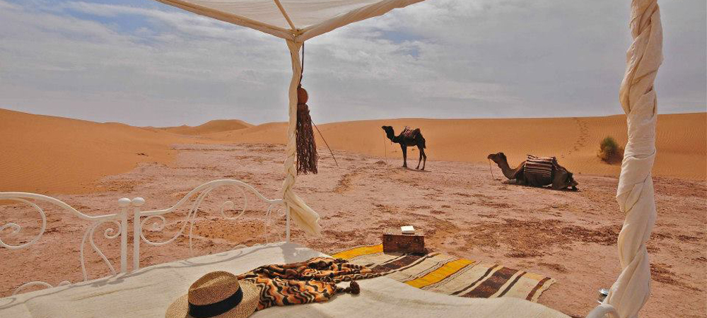Trip Desert Morocco