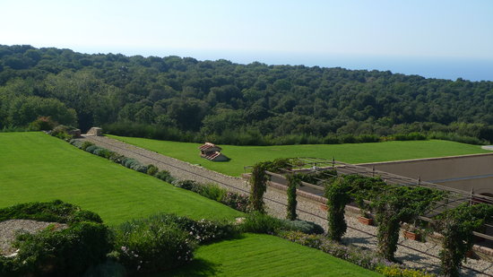 Tuscan Tour - Day Tours