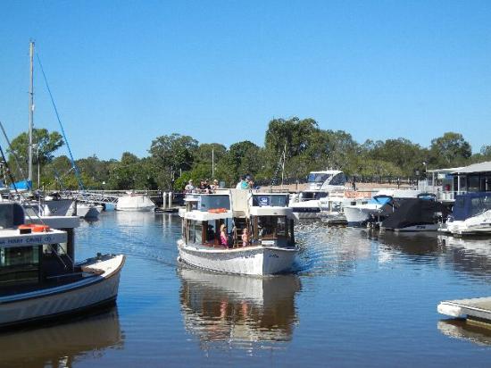 The Noosa Ferry Cruise Company