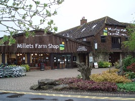 Millets Farm Falconry Centre