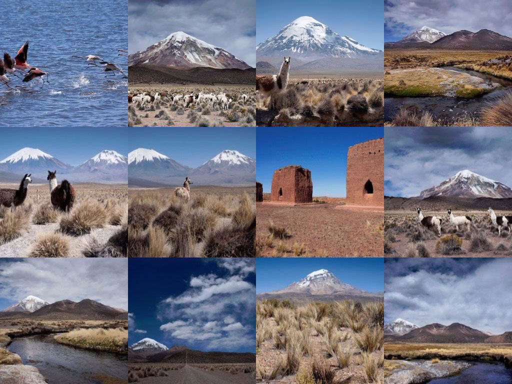 Natural Adventure - Day Tours