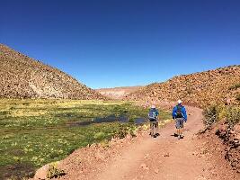 Ecotours Chile Private Tours