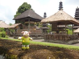 Bali Driver Guide Private Tours