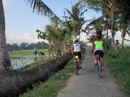 Bali Bike Hire - Pedal Bali
