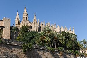 Experience Mallorca