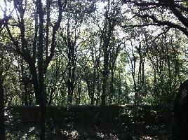 Fiesole Italy Experience