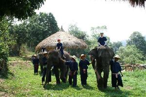 Mae Taeng Thailand Experience