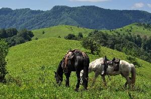Horseriding Bulgaria - Day Tours