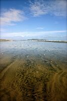 Invercargill New Zealand Beach