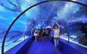 Antalya Turkey Aquarium