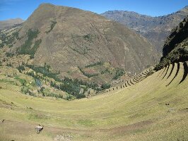 Munaycha