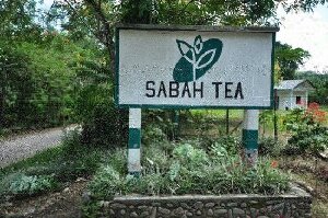 Ranau Malaysia Tour