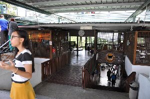 The Owl Museum