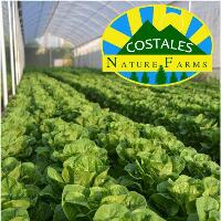 Costales Nature Farms