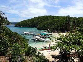 Bicol Region Philippines Dive