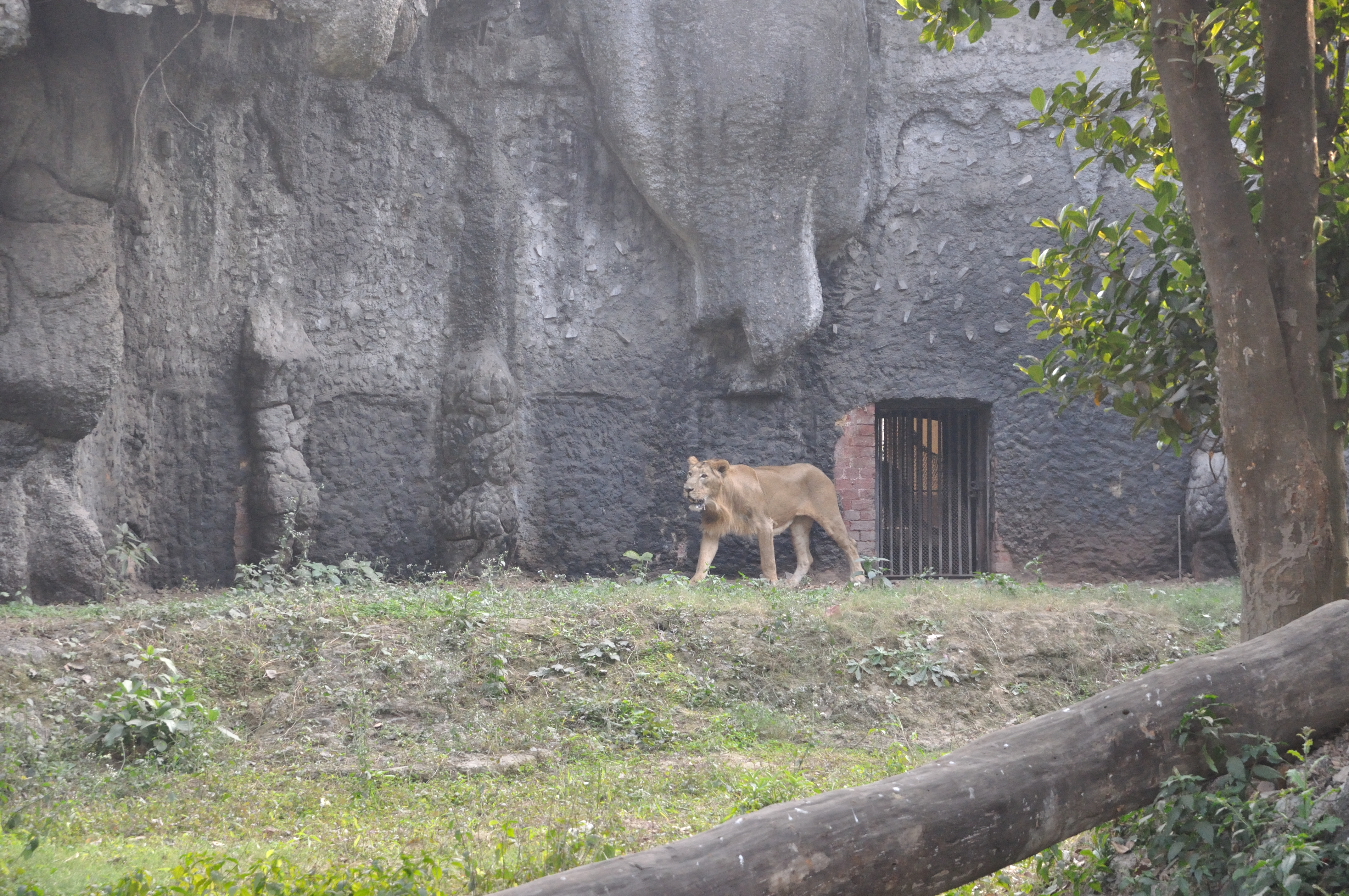 Kolkata Zoo & Zoological Garden