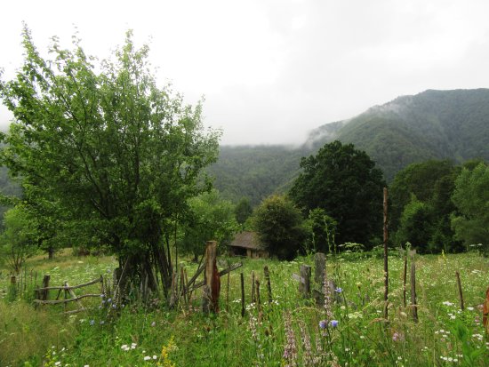 MySecretRomania - Private Day Tours