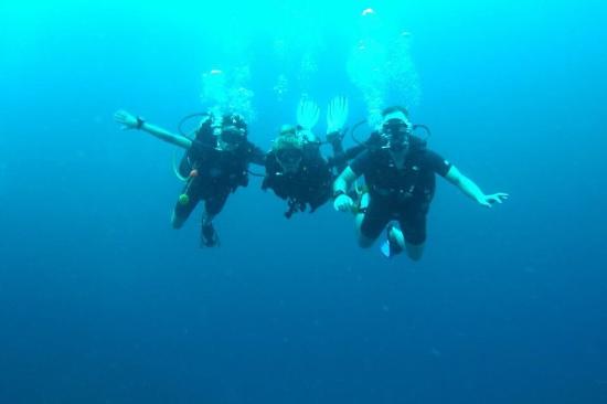 Ocean Sound Dive & Yoga