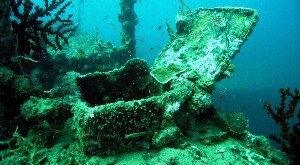 Reggae Dive Center