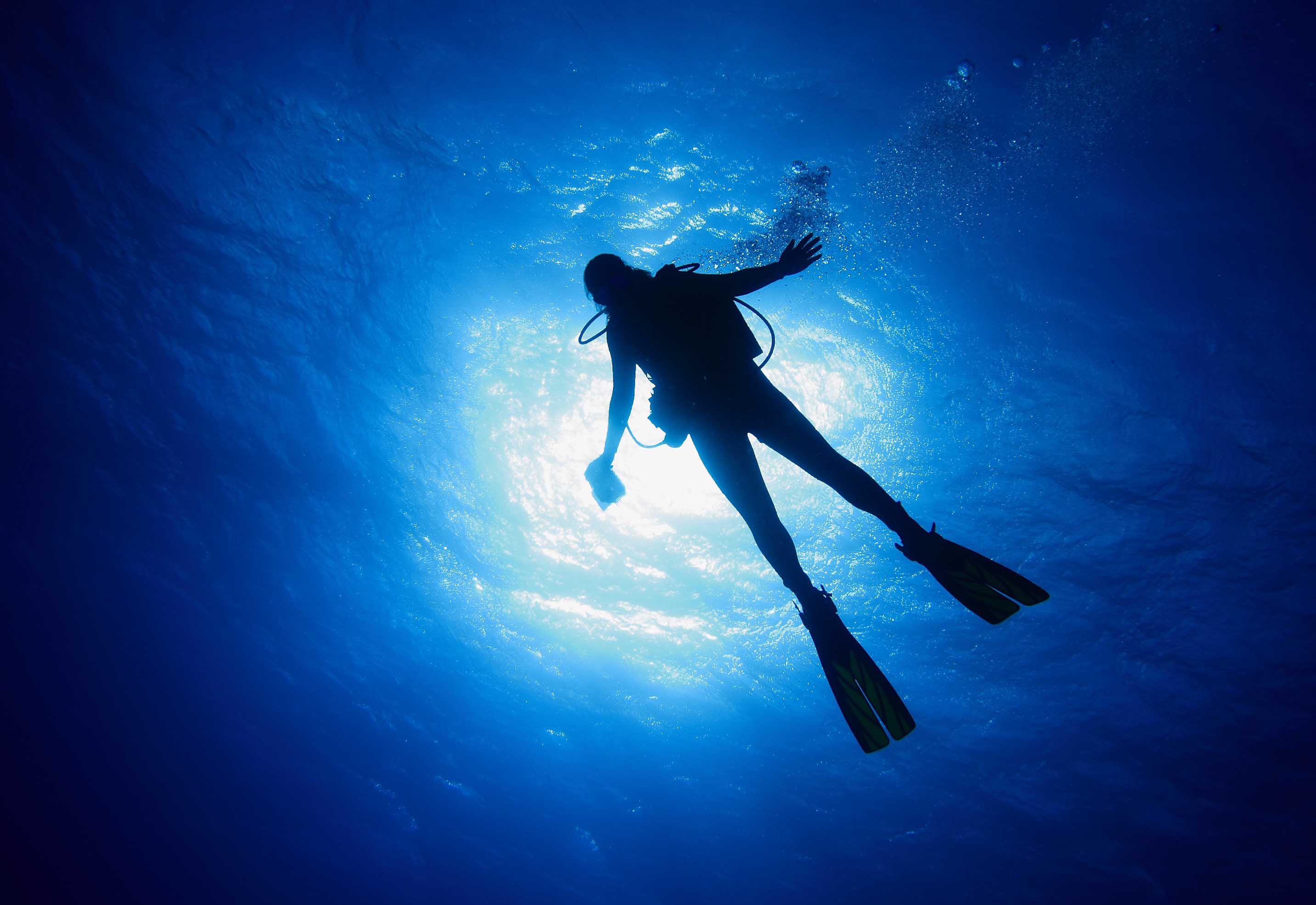 Dive & Dive Centro de Buceo