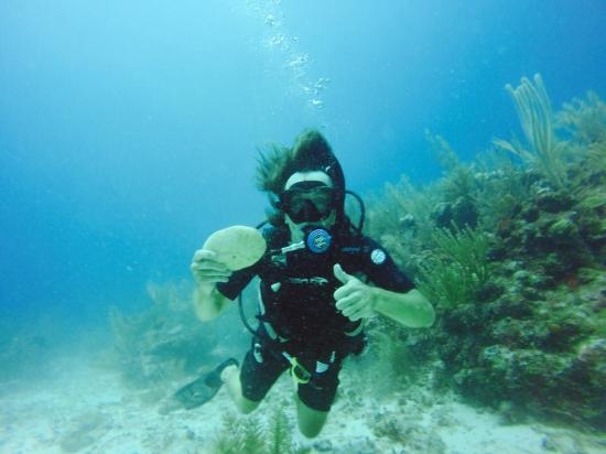 Scuba School And Family Dive Center