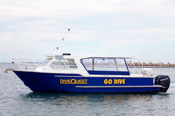 Go Dive Brisbane