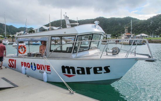 Pro Dive Magnetic Island