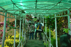 Bohol Province Philippines Hill