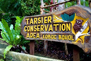 Tarsier Conservation Area