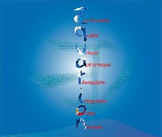 Equation Dive & Travel Different