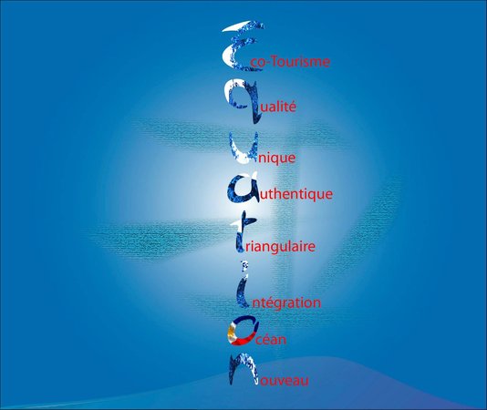 Equation Dive & Travel Different