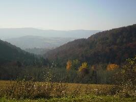 Subcarpathian Province Poland Park