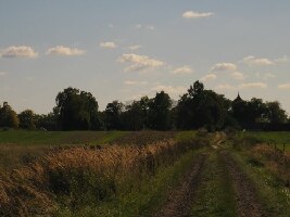 Stary Cmentarz
