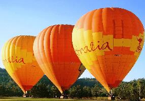Hot Air Balloon Brisbane & Canungra Vineyards