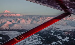 Sheldon Air Service