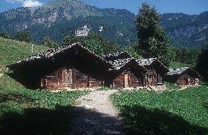 Ballenberg, Swiss Open-Air Museum
