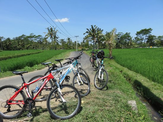 Bali Rocky Mountain Cycling Tour