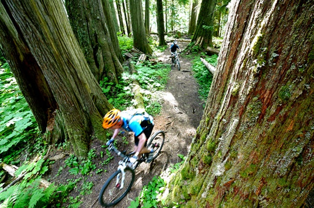 Big Mountain Bike Adventures